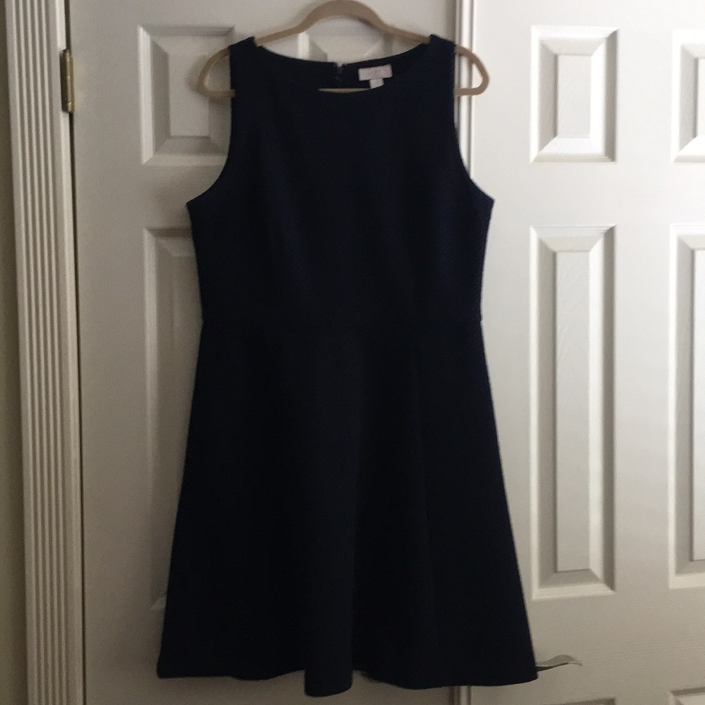 Loft dress. Black with purple accent